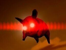 Как античные хрюши боевых слонов побеждали