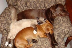 Рассказ. Стоящие у двери