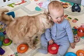 30 котонянек, которые отлично справляются со своей работой