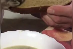 Какой молодец