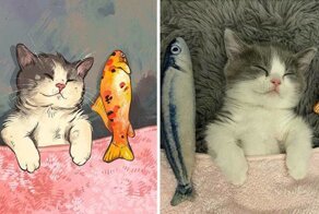 Художница превращает известные мемы с котами в забавные иллюстрации