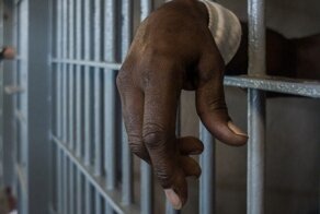 В Индии попугай стал свидетелем убийства и молчать не стал
