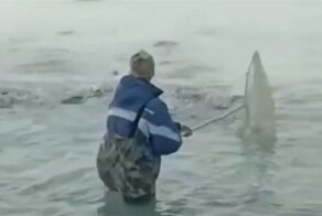 Вода побелела и закипела: как сахалинцы с берега ловят сельдь