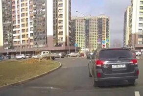Биба и Боба не поделили дорогу