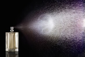 "Ни на что непохожий запах": иноагент Смольянинов* рассказал о необычном аромате Путина, который отшибает память окружающим