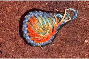 Молодая мать отдыхает со своим потомством