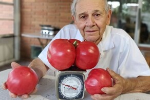 Гордость садовода: 30 добрых и забавных фото от любителей копать грядки