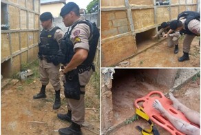 В Бразилии могильщики услышали крики на кладбище и обнаружили заживо похороненную женщину