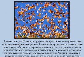 Зрелищные явления природы (10 фото)