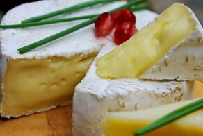 Черви, плесень, запах: 5 самых гадких и дорогих сыров в мире