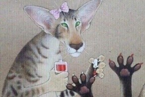 Волшебный юморок