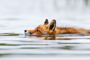 15 жутких и любопытных историй от рыбаков, моряков и дайверов