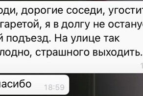 Безумие и приколы в соседских чатах