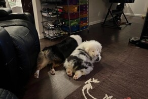 С&nbsp;добрым утром