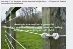 Голливудская жизнь (20 фото)