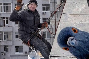 30 уличных кадров, которые доказывают, что вдохновение — повсюду