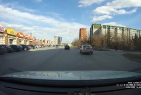 "Олень" чудом уцелел на дороге