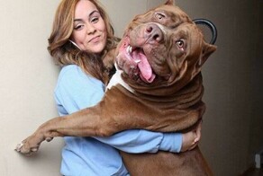 20+ гигантских вещей и животных, которых не каждый день увидишь