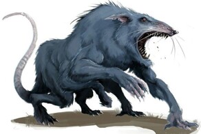 Крысиный король: почему за него в Средние века отправляли на костёр