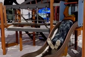 Веселье на детской горке