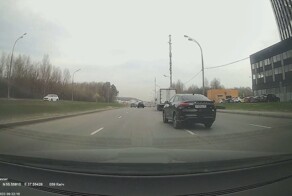 Весенние брачные игры на дороге