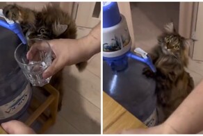 Проблема со стаканом воды в старости почти решена