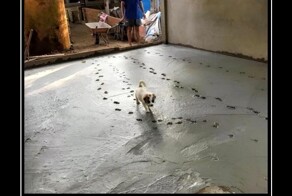 Демотиваторы: урожай в Италии, жесты из детства и котики