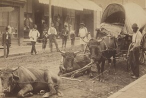 Хорошее, плохое и злое: разношёрстное прошлое Америки в подборке винтажных фото