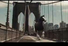 Производитель пива Bud Light, потерпев убытки после скандальной рекламной кампании с трансгендером, исправился