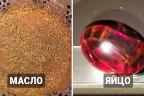 Что происходит с едой, когда мы забываем о ней на долгое время