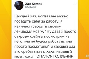 Дельные советы от истинных хитрецов