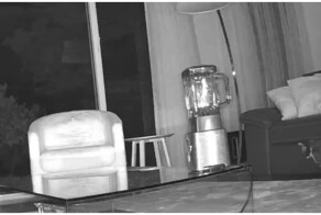 Программист придумал, как отучить кота справлять большую нужду на ковёр