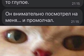 СМС-сообщения и диалоги в соцсетях, которые созданы только для того, чтобы смешить нас