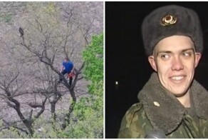 Странное спасение кота в Краснодаре