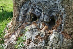 Парейдолия: понятие, причины, последствия