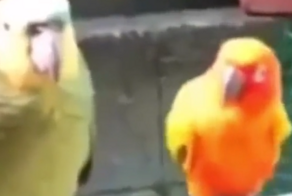 Когда женщина хочет внимания, а ты уставший