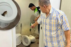 Спрятавшийся в унитазе питон укусил тайца за ягодицы