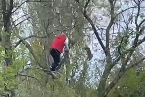 Спасение кота с неожиданным финалом