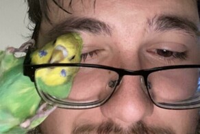 30 уморительных кадров с птицами, которые вас повеселят