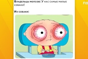 Комментарии и картинки из соцсетей. Свежак за 2 мая