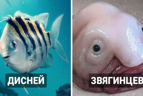 Каким был бы Флаундер из новой «Русалочки»  у других режиссёров