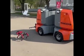 Будни в Москве: робот-уборщик выгуливает робопса⁠⁠