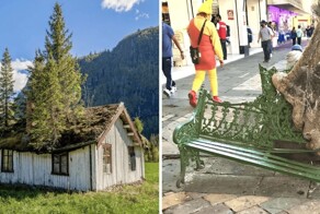 16 случаев, когда природа решила напомнить человеку, что она тут главная