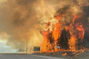 В Канаде дамы-пожарные спалили лес, доказывая, что они лучше мужчин