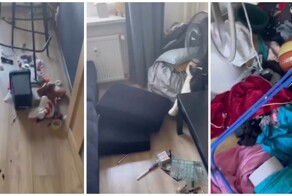 Пойман на месте преступления