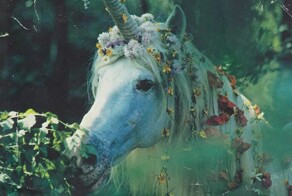 Самое мистическое создание, ставшее порождением неточностей и ошибок