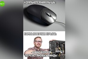 Комментарии и картинки из соцсетей. Свежак за 11 мая