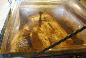 15 любопытных изображений интересных редкостей