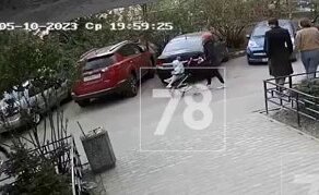 В Петербурге мужчину избили за просьбу выгуливать бойцовскую собаку в наморднике