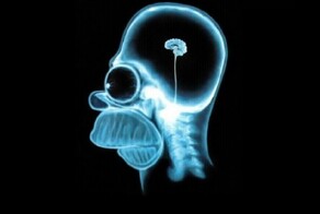 Учёные доказали, что курение приводит к уменьшению мозга